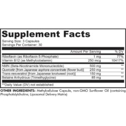 Viên uống bổ sung NMN CodeAge Liposomal NMN Platinum 90 Capsules 15 vien uong bo sung nmn codeage liposomal nmn platinum 90 capsules kg