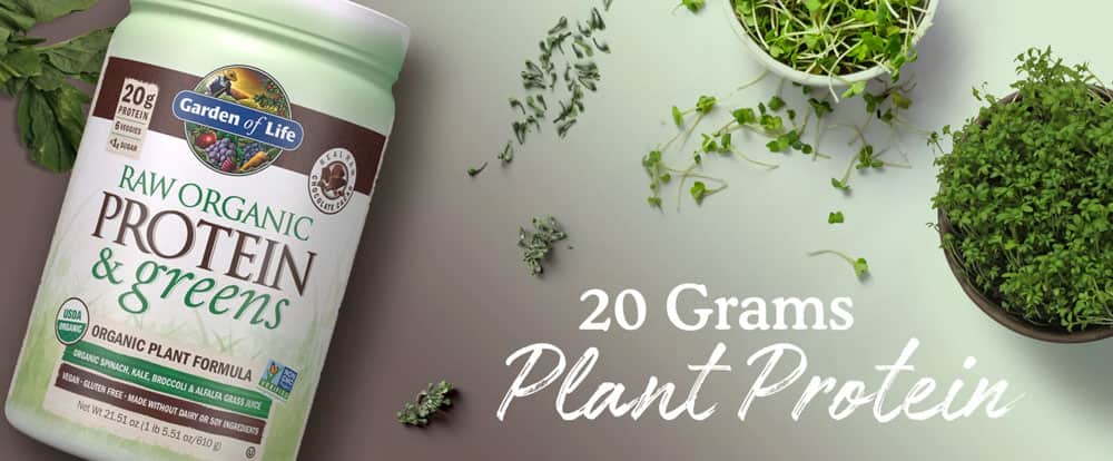 Bột Protein thực vật hữu cơ Garden Of Life Raw Organic Protein & Greens Chocolate Cacao 610g 8 bot protein thuc vat huu co garden of life raw organic protein greens chocolate cacao 610g kd