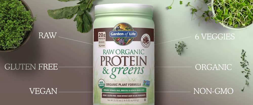 Bột Protein thực vật hữu cơ Garden Of Life Raw Organic Protein & Greens Chocolate Cacao 610g 11 bot protein thuc vat huu co garden of life raw organic protein greens chocolate cacao 610g ke
