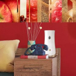 Set máy xịt thơm phòng tự động Glade chạy pin + 3 chai tinh dầu (Autumn Spiced Apple) 11 set may xit thom phong tu dong glade chay pin 3 chai tinh dau autumn spiced apple kd