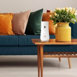 Set máy xịt thơm phòng tự động Glade chạy pin + 3 chai tinh dầu (Fall Night Long) 17 set may xit thom phong tu dong glade chay pin 3 chai tinh dau fall night long kg