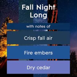 Set máy xịt thơm phòng tự động Glade chạy pin + 3 chai tinh dầu (Golden Pumpkin Spice, Fall Night Long, Autumn Spiced Apple) 7 set may xit thom phong tu dong glade chay pin 3 chai tinh dau golden pumpkin spice fall night long autumn spiced apple kb