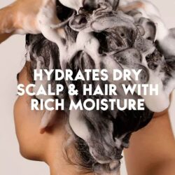 dau goi hanh nhan va dua head shoulders dry scalp care almond coconut oil 1 15l kf