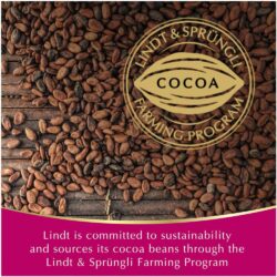 socola nhan trai cay lindt fruit sensation dark chocolate raspberry cranberry 150g kb