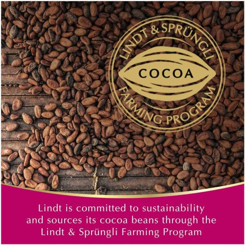 socola nhan trai cay lindt fruit sensation dark chocolate raspberry cranberry 150g kb