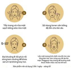 tinh chat vang bergamo 24k gold bakuchiol premium essence 120ml kf