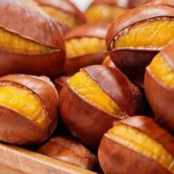 hat de hap nut vo mukiamaguri gold award 260g kc