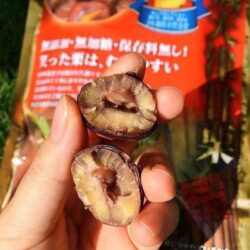 hat de hap nut vo mukiamaguri gold award 260g kd