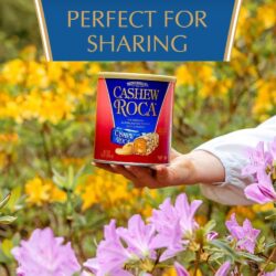 keo socola brown haley cashew roca 284g kc