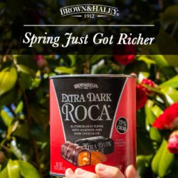 keo socola brown haley extra dark roca 284g ka