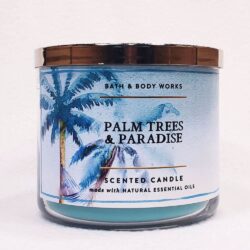 Nến thơm 3 tim Bath & Body Works Palm Trees & Paradise 411g 6 nen thom 3 tim bath body works palm trees paradise 411g ka