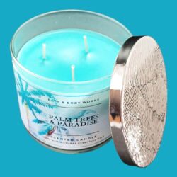 Nến thơm 3 tim Bath & Body Works Palm Trees & Paradise 411g 7 nen thom 3 tim bath body works palm trees paradise 411g kb