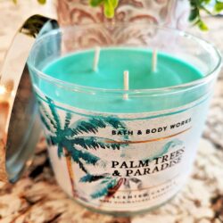 Nến thơm 3 tim Bath & Body Works Palm Trees & Paradise 411g 9 nen thom 3 tim bath body works palm trees paradise 411g kd