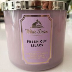 Nến thơm 3 tim Bath & Body Works White Barn Fresh Cut Lilacs 411g 7 nen thom 3 tim bath body works white barn fresh cut lilacs 411g kg
