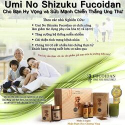 Ngăn ngừa và hỗ trợ ung thư Umi No Shizuku Fucoidan 50ml x 10 chai (Dạng nước) 7 ngan ngua va ho tro ung thu umi no shizuku fucoidan 50ml x 10 chai dang nuoc kc