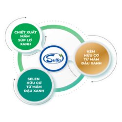 Soup cao năng lượng SupPro Bio 30g x12 gói (Vị bò hành tây) 14 soup cao nang luong suppro bio 30g x12 goi kc