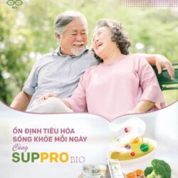 Soup cao năng lượng SupPro Bio 30g x12 gói (Vị bò hành tây) 18 soup cao nang luong suppro bio 30g x12 goi ke