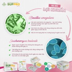 Soup cao năng lượng SupPro Bio 30g x12 gói (Vị bò hành tây) 15 soup cao nang luong suppro bio 30g x12 goi vi bo hanh tay kb