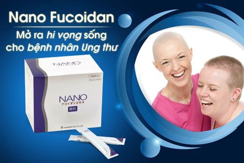 Fucoidan dạng bột hỗ trợ người bệnh ung thư Kanehide Bio Nano Fucoidan Extract Granule 2g x60 gói 15 tao nau dang bot ho tro nguoi benh ung thu kanehide bio nano fucoidan extract granule 2g x60 goi kc