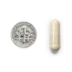 Viên uống bổ não Prevagen Improves Memory Regular Strength 60 Capsules 15 vien uong bo nao prevagen improves memory regular strength 60 capsules kf