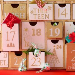 Socola Hershey’s Kisses Sugar Cookie White Creme 255g 14 socola hersheys kisses sugar cookie white creme 255g kd