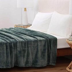 chan men berkshire luxe loft queen blanket 249cm x 234cm green kb