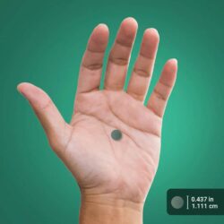 Tảo xoắn Piping Rock Organic Spirulina 1000mg 300 Tablets 15 tao xoan piping rock organic spirulina 1000mg 300 tablets kg