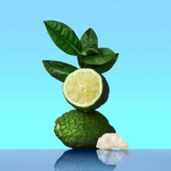 Nước hoa nam Calvin Klein CK One EDT 200ml 7 nuoc hoa nam calvin klein ck one edt 200ml kc