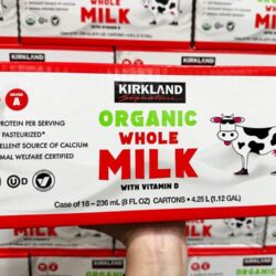 Sữa tươi nguyên kem Kirkland Signature Organic Whole Milk 236ml x18 hộp 6 sua tuoi nguyen kem kirkland signature organic whole milk 236ml x18 hop 030524 ka