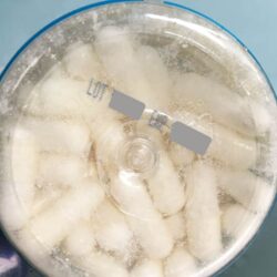 vien uong bo sung magie natures truth magnesium glycinate 200mg 180 capsules 260724 kb