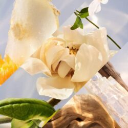 Nước hoa nữ Bvlgari Omnia Crystalline Eau De Toilette 100ml 9 nuoc hoa nu bvlgari omnia crystalline eau de toilette 100ml 010824 kd