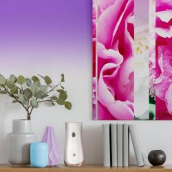 Set máy xịt thơm phòng tự động Glade chạy pin + 3 chai tinh dầu (Super Bloom) 13 set may xit thom phong tu dong glade chay pin 3 chai tinh dau super bloom 200824 kf