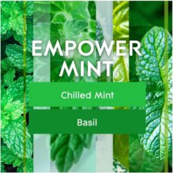 Set máy xịt thơm phòng tự động Glade chạy pin + 3 chai tinh dầu (Wonder Melon, Empower Mint, Super Bloom) 8 set may xit thom phong tu dong glade chay pin 3 chai tinh dau wonder melon empower mint super bloom 200824 kc