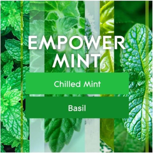 Set máy xịt thơm phòng tự động Glade chạy pin + 3 chai tinh dầu (Wonder Melon, Empower Mint, Super Bloom) 11 set may xit thom phong tu dong glade chay pin 3 chai tinh dau wonder melon empower mint super bloom 200824 kc