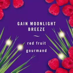 nuoc hoa xe hoi febreze car set 5 mui original island fresh moonlight breeze fresh breeze 141024 ke