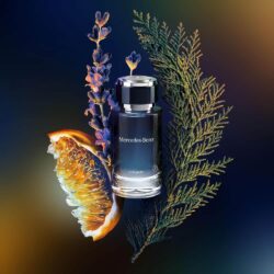Nước hoa nam Mercedes-Benz Ultimate Eau De Parfum 120ml 11 nuoc hoa nam mercedes benz ultimate eau de parfum 120ml 241124 kd