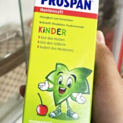siro ho cho tre em prospan hustensaft kinder 100ml 121224 ka