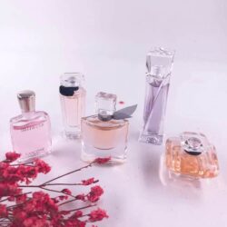 Set nước hoa nữ Mini Lancome Eau De Parfum 5 Món 8 set nuoc hoa nu mini lancome eau de parfum 5 mon 220125 kc