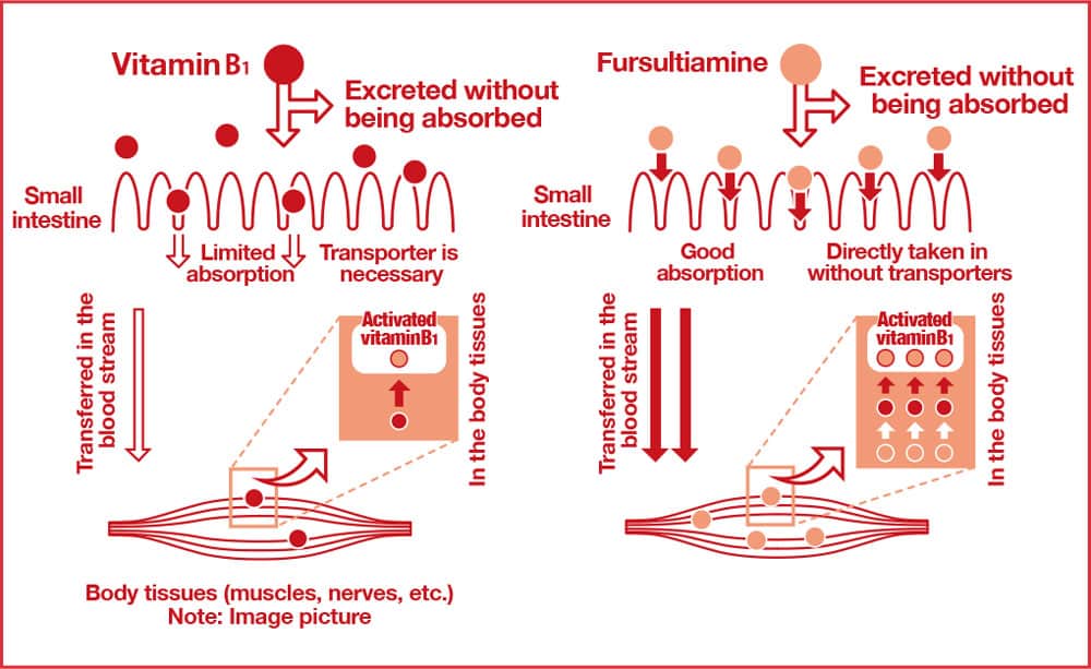 vien uong ho tro dau vai gay arinamin ex plus 270 vien 240225 ke