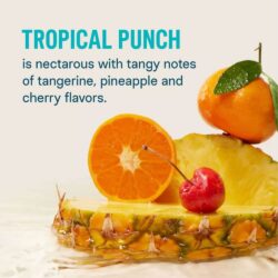 bot dien giai liquid iv hydration multiplier 10 goi tropical punch 060325 kd