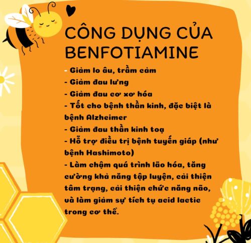 cong dung benfotiamine