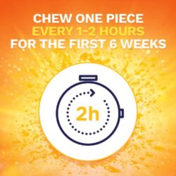 Kẹo cai thuốc Nicorette Gum Fruit Chill 4mg 20 viên 12 keo cai thuoc nicorette gum fruit chill 4mg 20 vien 280325 ke