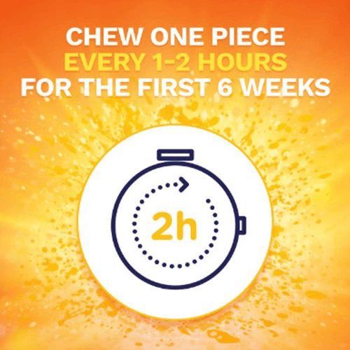 keo cai thuoc nicorette gum fruit chill 4mg 20 vien 280325 ke