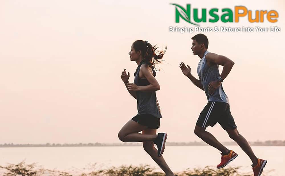 Viên uống nghệ NusaPure Turmeric Curcumin Complex 4500mg 150 viên 9 vien uong nghe nusapure turmeric curcumin complex 4500mg 150 capsules 260325 kd