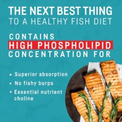 Dầu nhuyễn thể Kori Pure Antarctic Krill Oil Omega-3 1200mg 30 Softgels 12 dau nhuyen the kori pure antarctic krill oil omega 3 1200mg 30 softgels 140525 ke