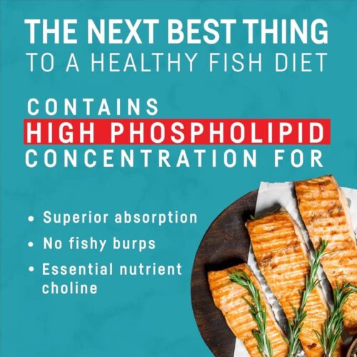 Dầu nhuyễn thể Kori Pure Antarctic Krill Oil Omega-3 1200mg 30 Softgels 15 dau nhuyen the kori pure antarctic krill oil omega 3 1200mg 30 softgels 140525 ke