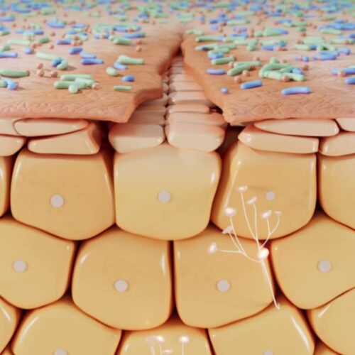 kem phuc hoi da sau ton thuong bioderma cicabio creme 40ml 210725 kb