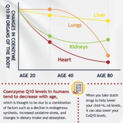 Viên uống bổ sung CoQ10 Dr. Foster CoQ10 200mg Maximum Potency 120 Softgels 11 vien uong bo sung coq10 dr foster coq10 200mg 120 softgels 040825 ke