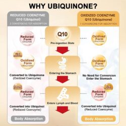 Viên uống bổ sung CoQ10 Dr. Foster CoQ10 200mg Max Potency 120 Softgels 15 vien uong bo sung coq10 dr foster coq10 200mg max potency 120 softgels 040825 kg