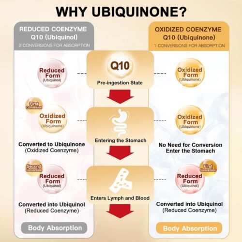 Viên uống bổ sung CoQ10 Dr. Foster CoQ10 200mg Max Potency 120 Softgels 22 vien uong bo sung coq10 dr foster coq10 200mg max potency 120 softgels 040825 kg